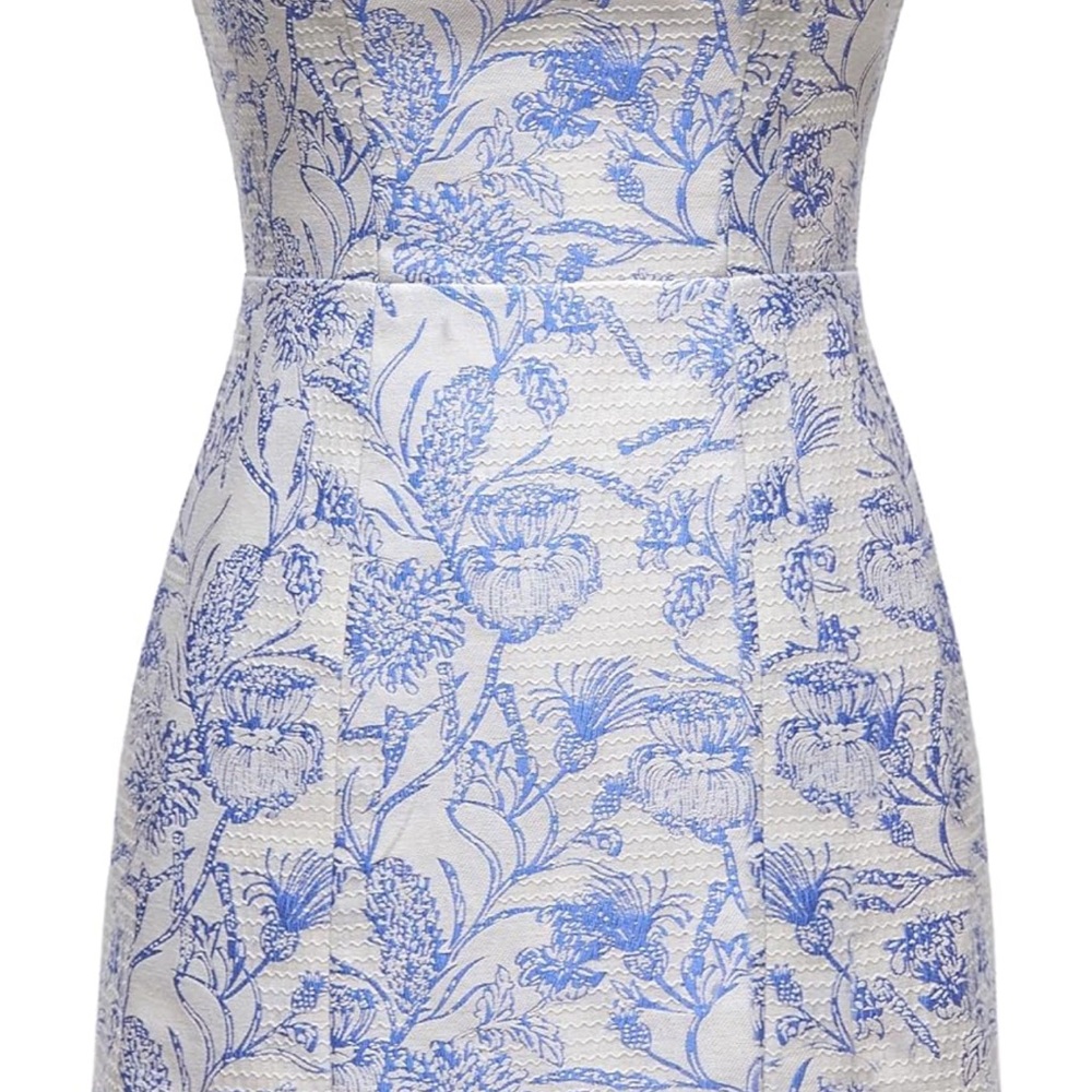 Floral Blue and White Dress
